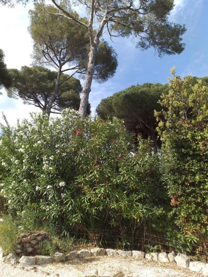 Villa Mediterranea لي إيسامبر المظهر الخارجي الصورة