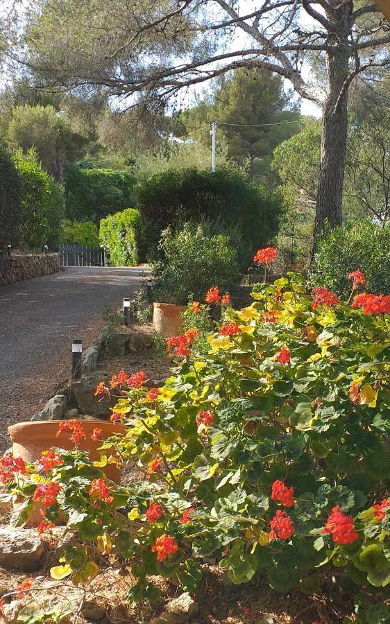 Villa Mediterranea لي إيسامبر المظهر الخارجي الصورة